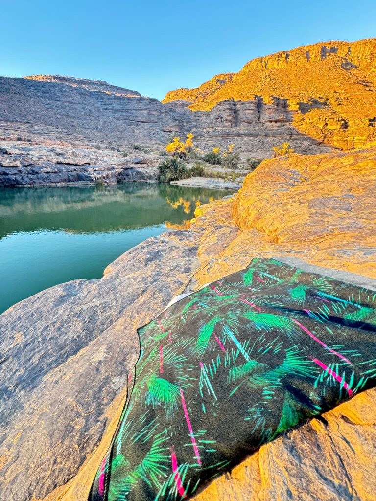 Iherir – La guelta aux couleurs dorées