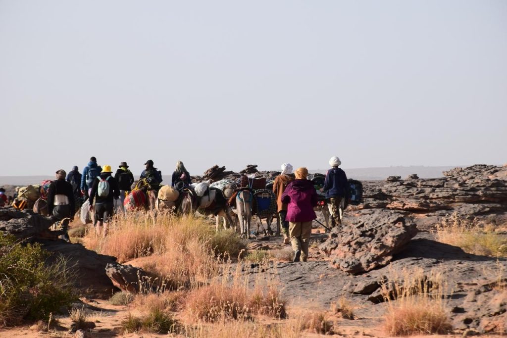 Sefar – Caravane dans la steppe