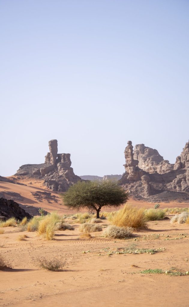 Tadrart – Acacia et pics rocheux