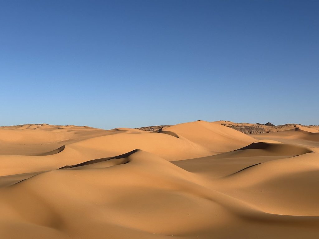 Un océan de dunes