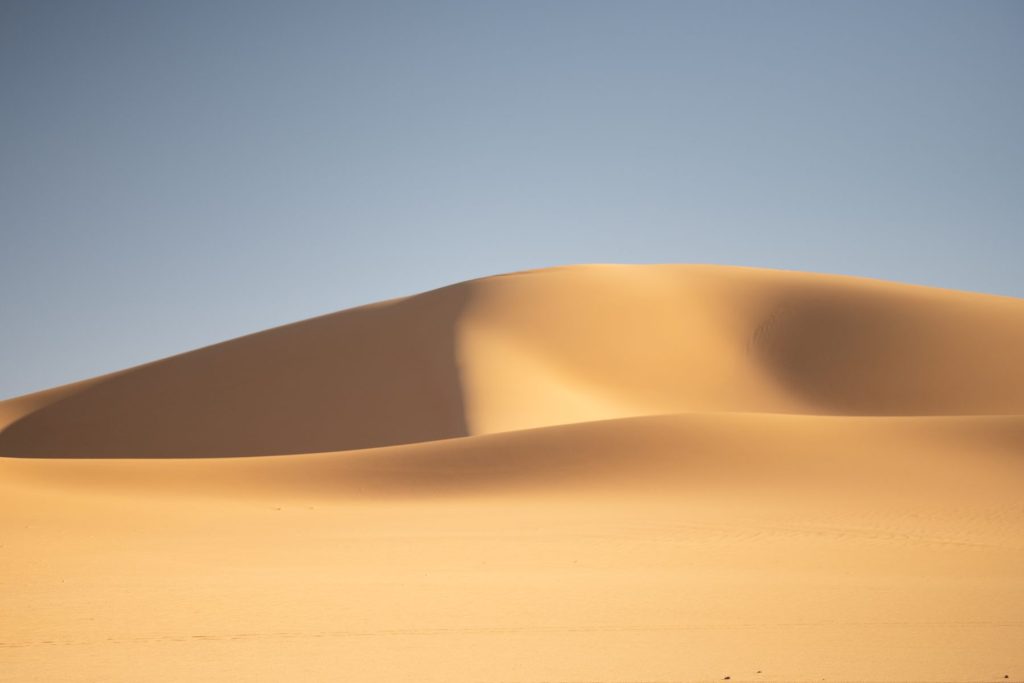 Douceur d'une dune au lever du jour